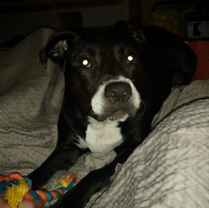 Meet your Posher, Shawn